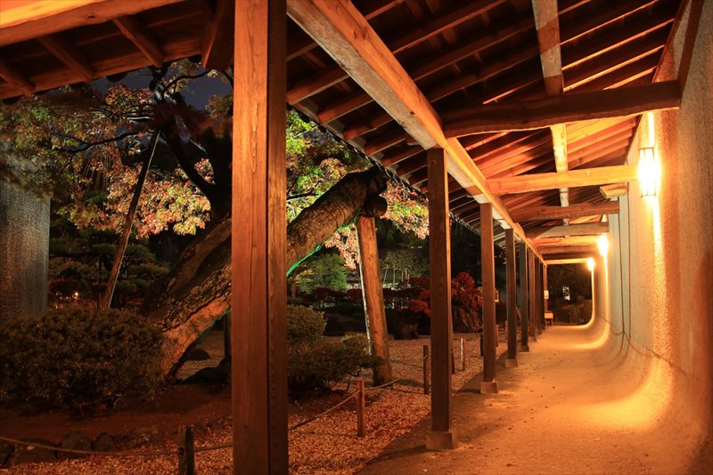 谷村美術館・ライトアップ